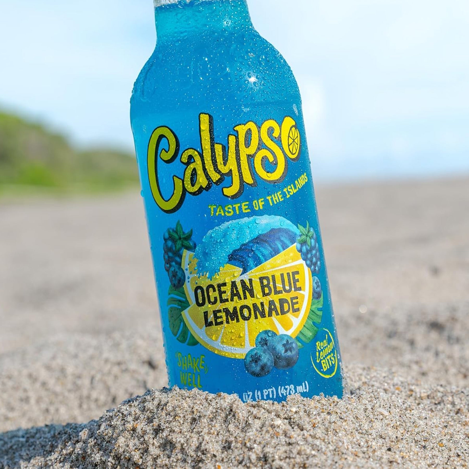 Calypso Ocean Blue 473ml 2