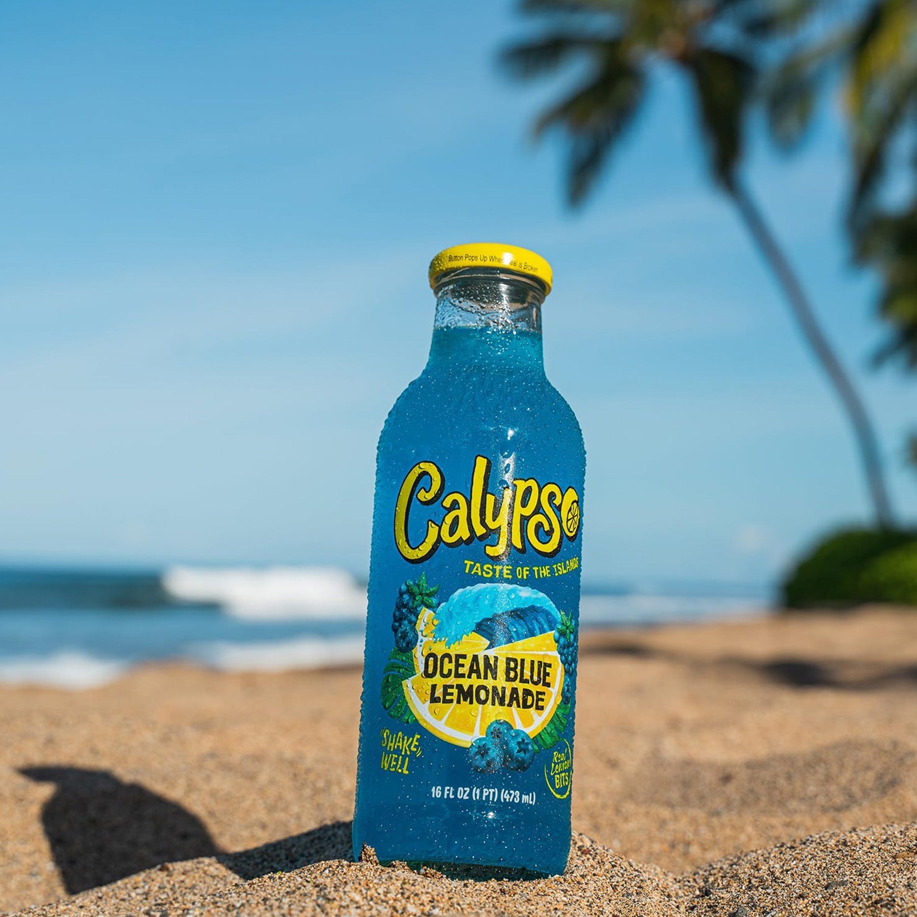 Calypso Ocean Blue 473ml 3